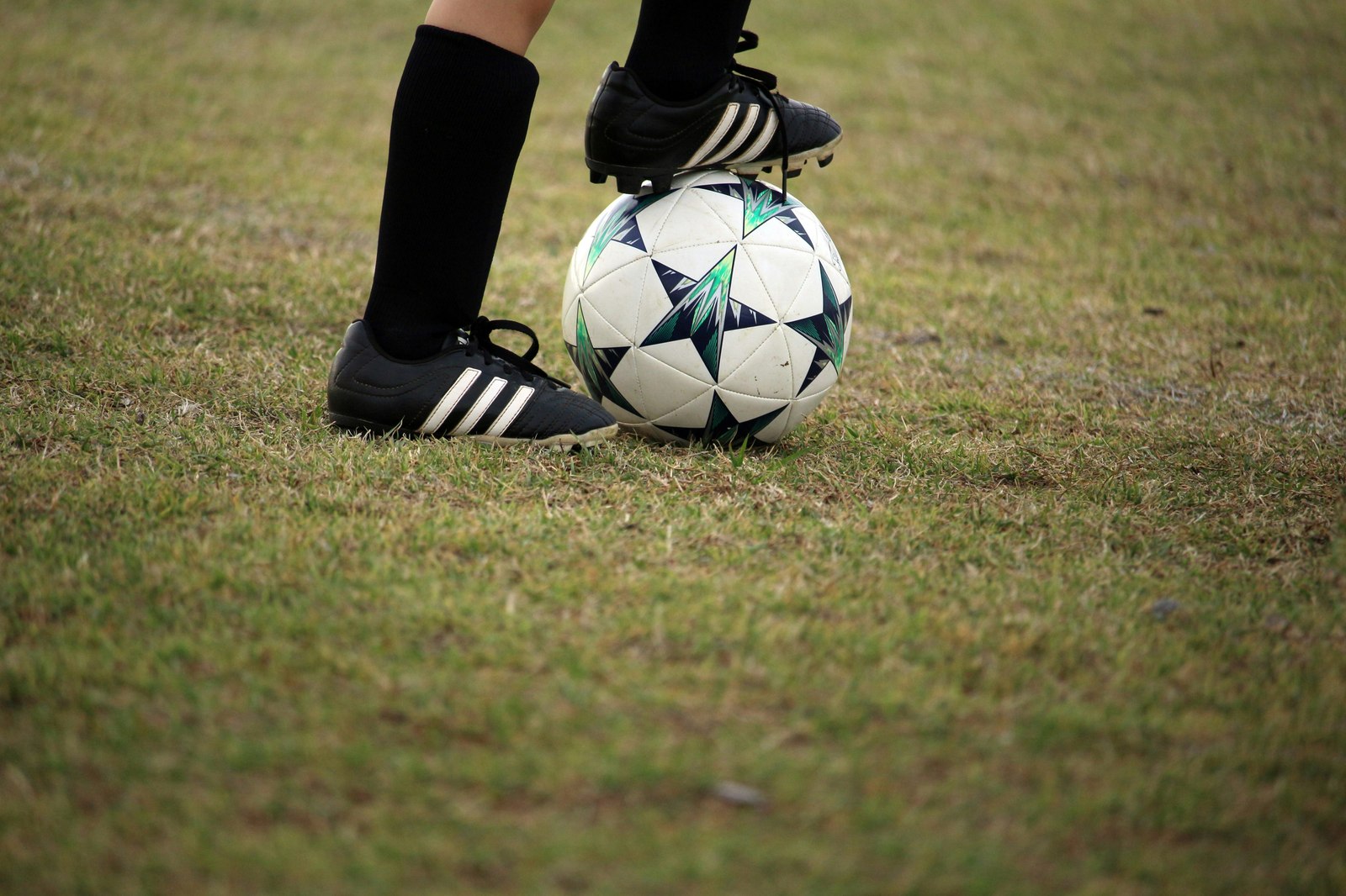 赛事氛围与资讯配图